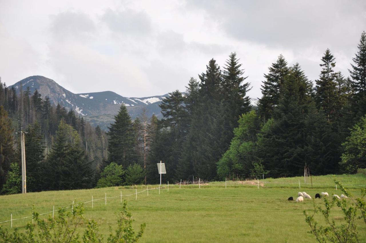 Apartamenty "U Blizniakow" Zakopane Exterior photo